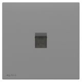 羅格朗開關插座 暢境  深砂銀 一位電腦插