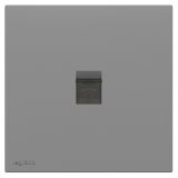 羅格朗開關插座 暢境  深砂銀 一位電話插