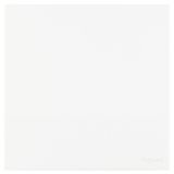 羅格朗開(kāi)關(guān)插座 維翼 陶瓷白 一位單控開(kāi)關(guān) 一開(kāi)單控 16AX