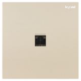 羅格朗開關插座 博軾 粉鉑金 一位電腦插（六類）