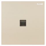 羅格朗開關插座 博軾 粉鉑金 一位電話插